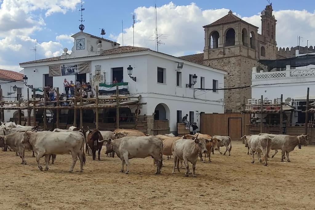 El Zarzal De Segura Villa Segura de Leon Ngoại thất bức ảnh